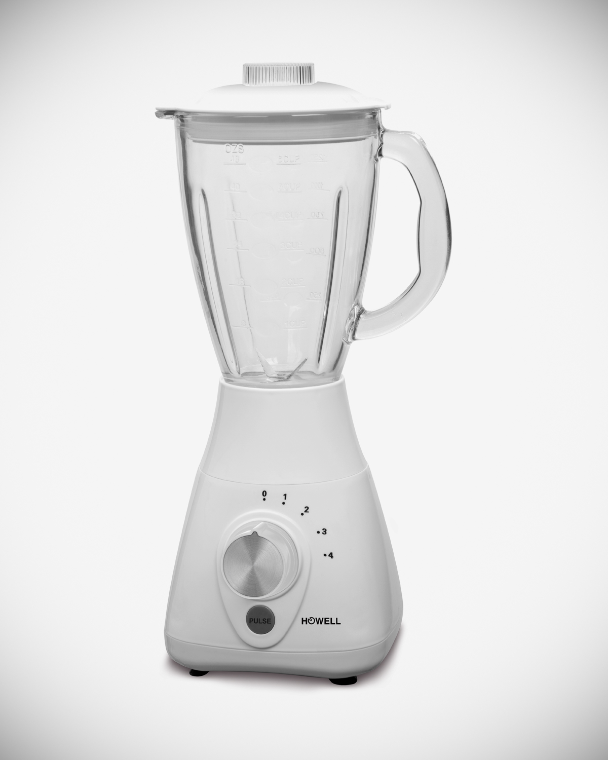 Professional 600 Watt blender with glass jar HO.FM6019